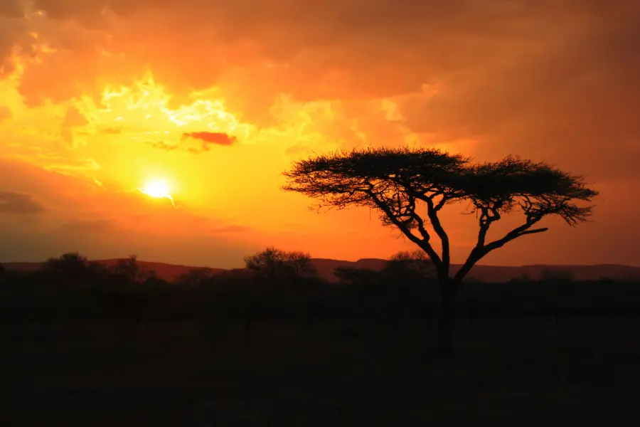 Avila Reizen Zuid Afrika Sun set