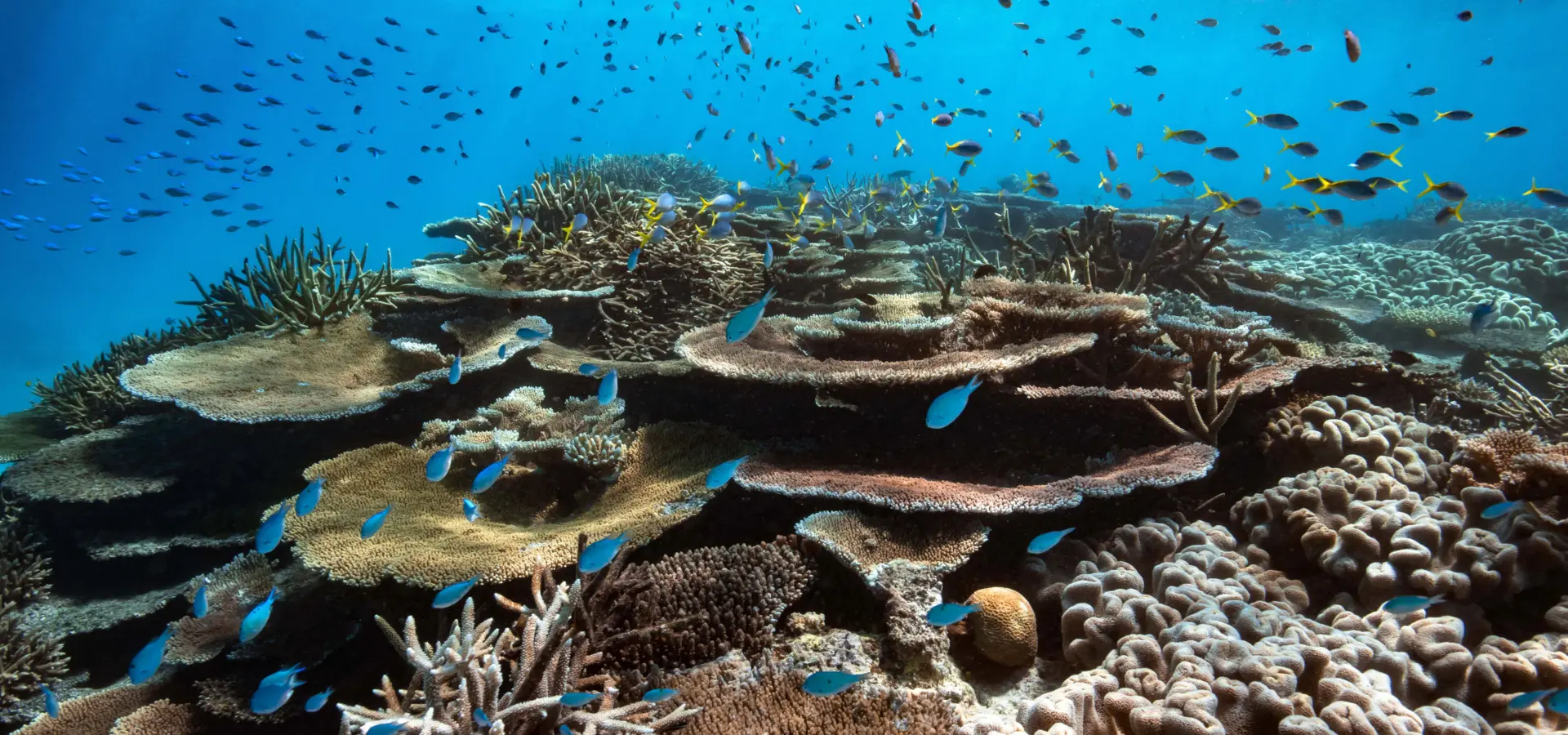 James vodicka photography orpheus island 6
